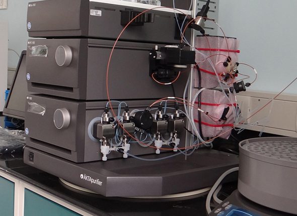 Research-Projects-Completed-and-Grants-Received